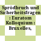 Sprödbruch und Sicherheitsfragen : Euratom Kolloquium : Bruxelles, 11.01.66-13.01.66.