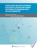 Structure-Related Intrinsic Electrical States and Firing Patterns of Neurons With Active Dendrites [E-Book] /
