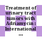 Treatment of urinary tract tumors with Adriamycin : International conference. 0002 : San-Francisco, CA, 04.09.1982-04.09.1982.