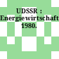 UDSSR : Energiewirtschaft. 1980.