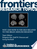 Why and how is the self related to the brain midline regions? [E-Book] /