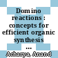 Domino reactions : concepts for efficient organic synthesis [E-Book] /