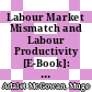 Labour Market Mismatch and Labour Productivity [E-Book]: Evidence from PIAAC Data /