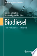 Biodiesel [E-Book] : From Production to Combustion /