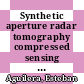 Synthetic aperture radar tomography compressed sensing models and algorithms /