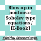 Blow-up in nonlinear Sobolev type equations / [E-Book]