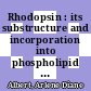 Rhodopsin : its substructure and incorporation into phospholipid vesicles /