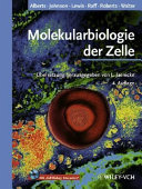 Molekularbiologie der Zelle /