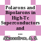 Polarons and Bipolarons in High-Tc Superconductors and Related Materials [E-Book] /