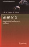 Smart grids : opportunities, developments, and trends /