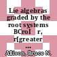 Lie algebras graded by the root systems BCroÌƒr, r[greater than or equal to] 2 [E-Book] /