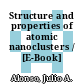 Structure and properties of atomic nanoclusters / [E-Book]