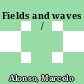Fields and waves  /
