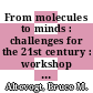 From molecules to minds : challenges for the 21st century : workshop summary [E-Book] /
