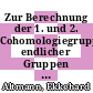 Zur Berechnung der 1. und 2. Cohomologiegruppen endlicher Gruppen durch elektronische Rechenautomaten /