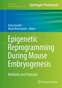 Epigenetic Reprogramming During Mouse Embryogenesis [E-Book] : Methods and Protocols /