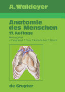 Waldeyer - Anatomie des Menschen [E-Book].