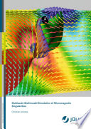 Multiscale multimodel simulation of micromagnetic singularities /