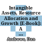Intangible Assets, Resource Allocation and Growth [E-Book]: A Framework for Analysis /