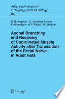 Axonal Branching and Recovery of Coordinated Muscle Activity after Transection of the Facial Nerve in Adult Rats [E-Book] /