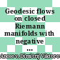 Geodesic flows on closed Riemann manifolds with negative curvature /