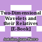 Two-Dimensional Wavelets and their Relatives [E-Book] /