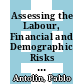 Assessing the Labour, Financial and Demographic Risks to Retirement Income from Defined-Contribution Pensions [E-Book] /