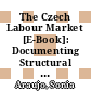 The Czech Labour Market [E-Book]: Documenting Structural Change and Remaining Challenges /