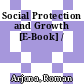 Social Protection and Growth [E-Book] /