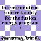 Intense neutron source facility for the fusion energy program /