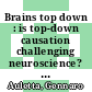 Brains top down : is top-down causation challenging neuroscience? [E-Book] /