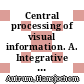 Central processing of visual information. A. Integrative functions and comparative data /