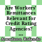 Are Workers' Remittances Relevant for Credit Rating Agencies? [E-Book] /