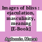 Images of bliss : ejaculation, masculinity, meaning [E-Book] /