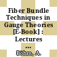 Fiber Bundle Techniques in Gauge Theories [E-Book] : Lectures in Mathematical Physics at the University of Texas at Austin /