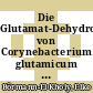 Die Glutamat-Dehydrogenase von Corynebacterium glutamicum : genetische und physiologische Untersuchungen [E-Book] /