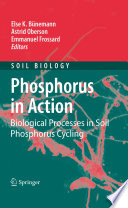Phosphorus in Action [E-Book] : Biological Processes in Soil Phosphorus Cycling /