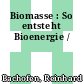 Biomasse : So entsteht Bioenergie /