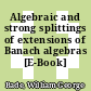 Algebraic and strong splittings of extensions of Banach algebras [E-Book] /