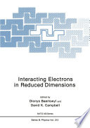 Interacting Electrons in Reduced Dimensions [E-Book] /