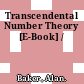 Transcendental Number Theory [E-Book] /