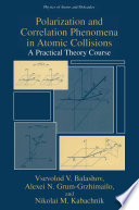 Polarization and Correlation Phenomena in Atomic Collisions [E-Book] : A Practical Theory Course /
