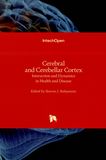 Cerebral and cerebellar cortex - interaction and dynamics in health and disease /