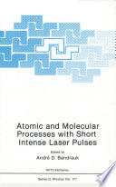 Atomic and Molecular Processes with Short Intense Laser Pulses [E-Book] /