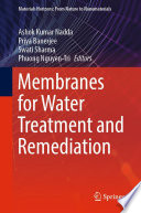 Membranes for Water Treatment and Remediation [E-Book] /