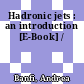 Hadronic jets : an introduction [E-Book] /