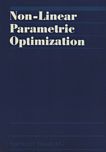 Non-linear parametric optimization /