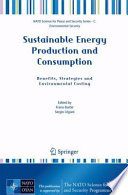 Sustainable Energy Production and Consumption [E-Book] : Benefits, Strategies and Environmental Costing /