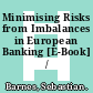 Minimising Risks from Imbalances in European Banking [E-Book] /