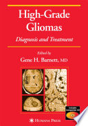 High-Grade Gliomas [E-Book] : Diagnosis and Treatment /